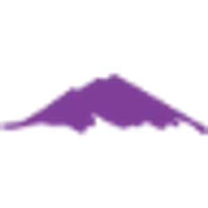 Stephen Stampp. MD - Logo