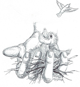 Southwest Virginia Wildlife Center of Roanoke - Logo