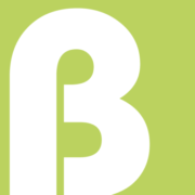 Blinds 2 Envy - Logo