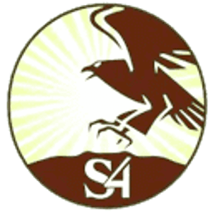 S4 Process Service - Logo