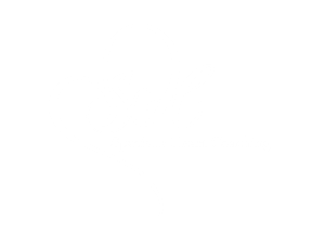 Spacious Heart Coaching and Consulting - Logo