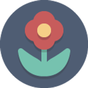 San Antonio Flower Delivery - Logo
