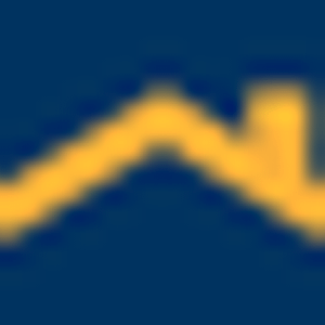 Punum Roofing of Houston, Inc. - Logo