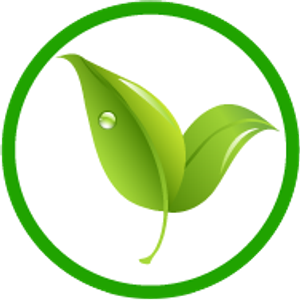 Orlando Evergreen Lawn & Landscaping - Logo