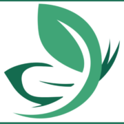 Munoz Landscape Professional Service LLC - Landscape designer in Marietta