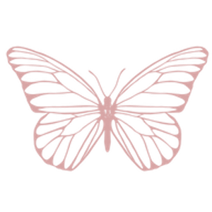 Papillon Visuals Photography & Videography - Logo