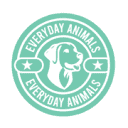 Everyday Animals