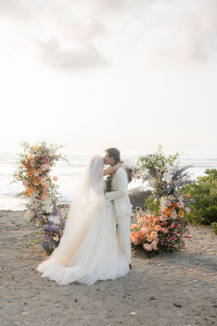 Apricity Wedding Photography & Videography - Logo