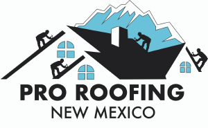 Pro Roofing - Logo