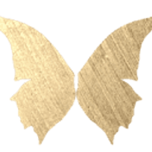 Enchanted Fairies