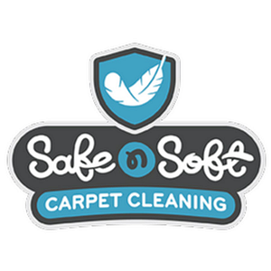 Safe N Soft Carpet Cleaning Boise ID - Logo